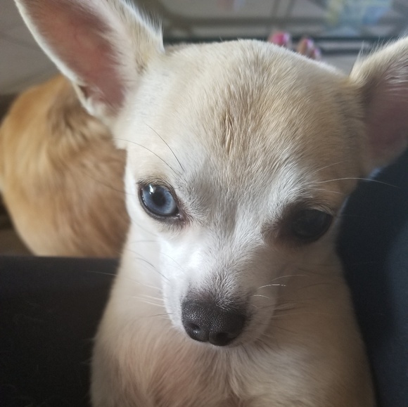 All reasonable offers considered. - Picture 2 of 6